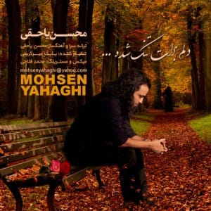 محسن یاحقی به نام دلم برات تنگ شده