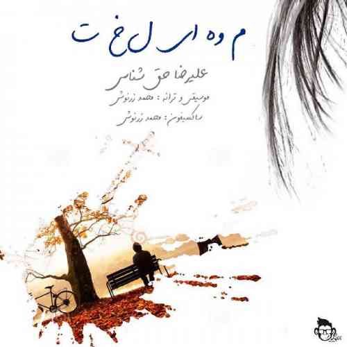 موهای لخت