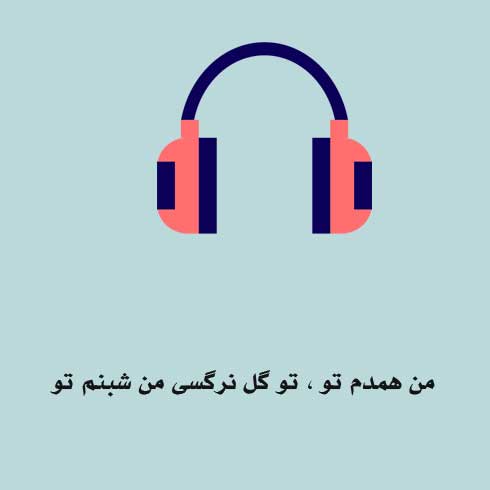 من همدم تو ، تو گل نرگسی من شبنم تو