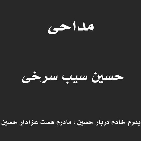 پدرم خادم دربار حسین ، مادرم هست عزادار حسین