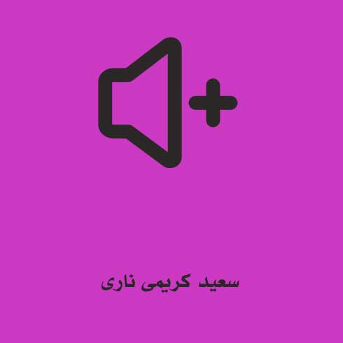 سعید کریمی ناری