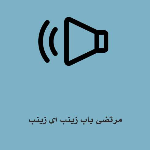 مرتضی باب زینب ای زینب