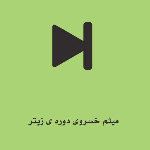 میثم خسروی دوره ی زیتر