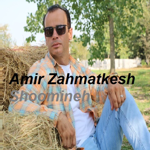 امیر زحمتکش شومینه