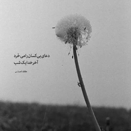 مداحی هل من ناصر از تو لبیک از من محمد حسین حدادیان