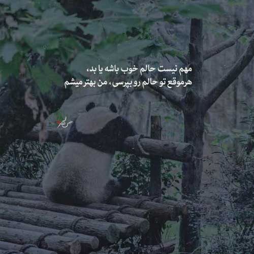 اهنگ بارون اومد و یادم داد علیرضا طلیسچی