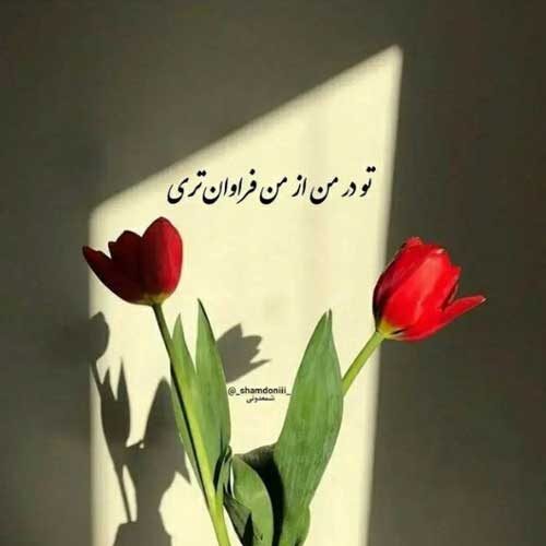 اهنگ سه روزه رفتی سی روزه حالا مصطفی ابراهیمی