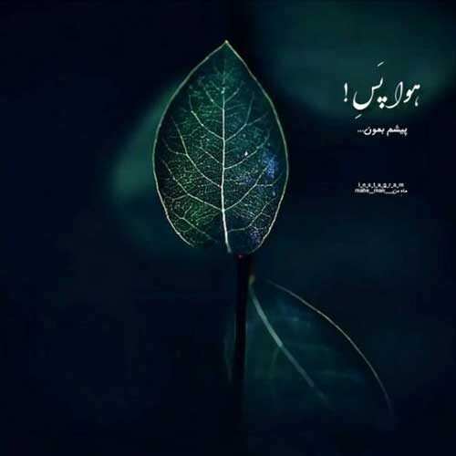 اهنگ i love you for a long time