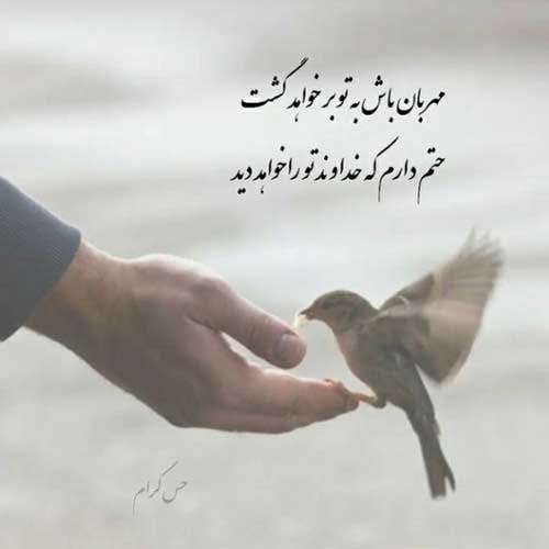 اهنگ رفت رفت رفت اونی که میخواستم امین رفیعی
