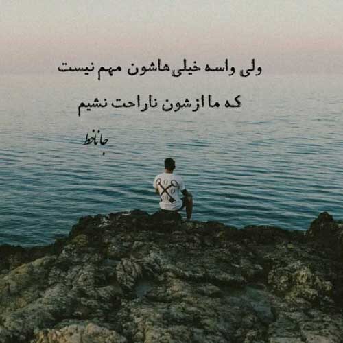 اهنگ چاره ای نداری جز اینکه بری حامیم