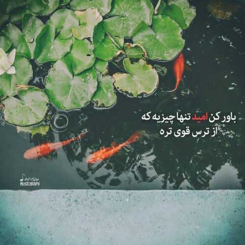 اهنگ عشق من نکنه که ازم دور بشی تو یاسان