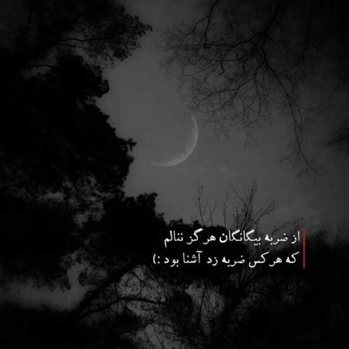 اهنگ نرو بدون تو شکنجه میشم مرتضی پاشایی