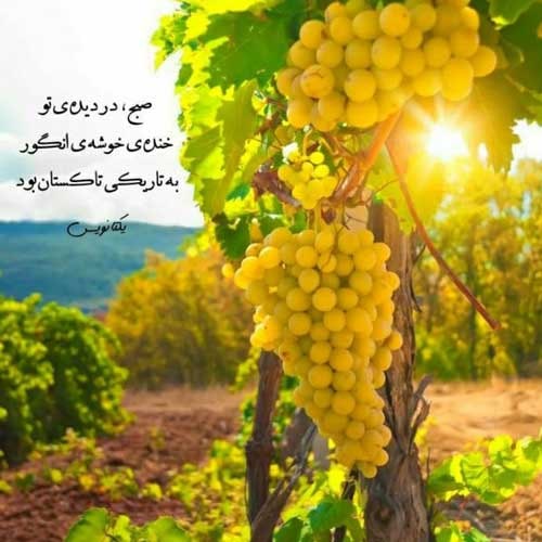 اهنگ میخندی و خندت مثل اون اولا نیست فرزاد فرزین