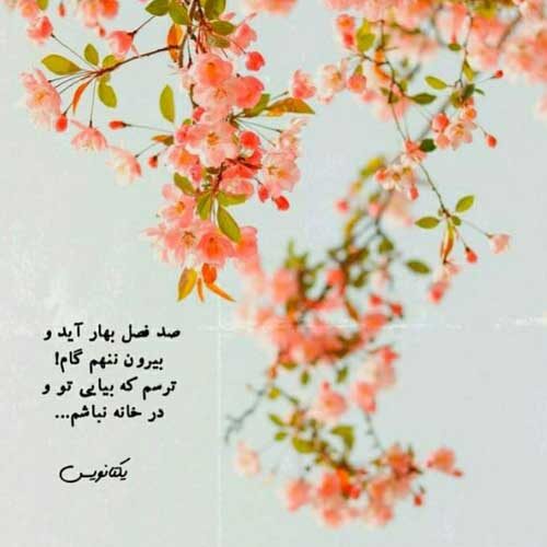 اهنگ گفته بودم بری زندگی نمیکنم یه روزم علی یاسینی