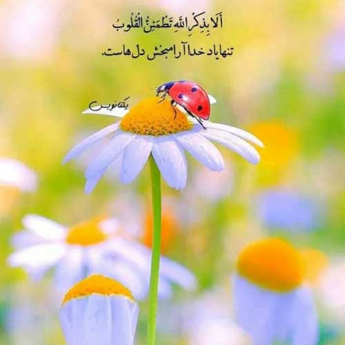 اهنگ shape of my heart / با دو کیفیت 320 و 128
