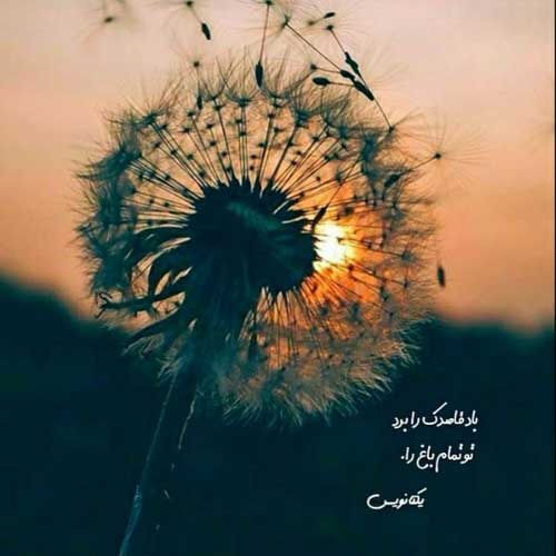 اهنگ بیر گوزل وار اوریمی منن الیب ماگومد کریموو