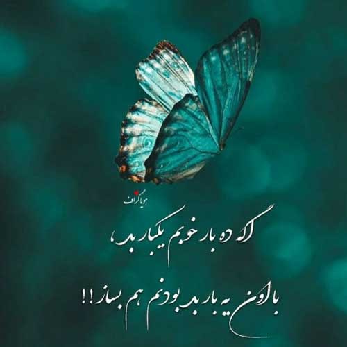 اهنگ پیش تو یوسف که زیبا نیست احمد سلو