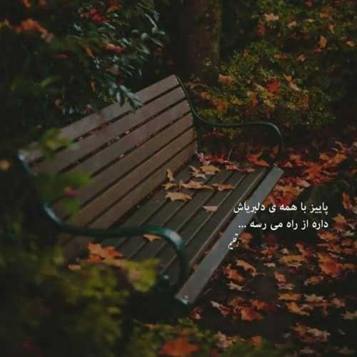 اهنگ یه گل چیه برات هزارویک گل میارم ریمیکس سهیل مهرزادگان
