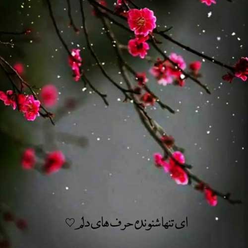 اهنگ بیا شهرو چراغون کن دلمو اروم کن