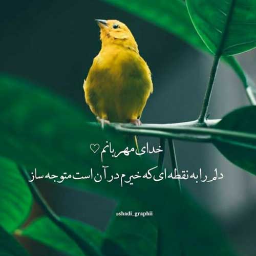 اهنگ ایران اگر دل تو را شکستند سالار عقیلی