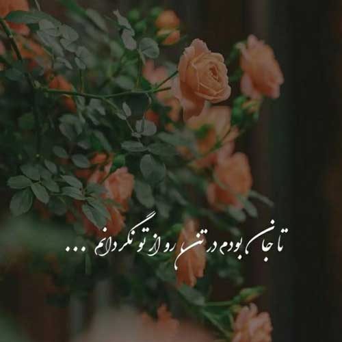اهنگ فرهادوم شیرینوم کجایی بیدل برزویی