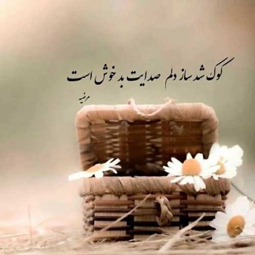 اهنگ سر چشاش جنگه مگه نه بله بله مسلم فتاحی