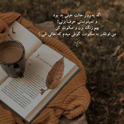 اهنگ این دلم دلتنگی تو رو داره موسی الرضا هاتفی