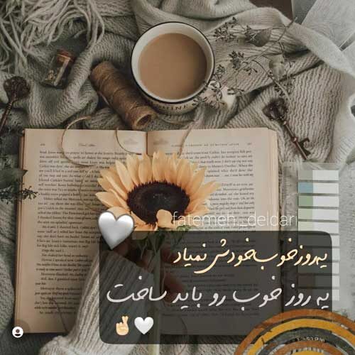 اهنگ روزی صد دفعه مردم و زنده شدم احمد سلو