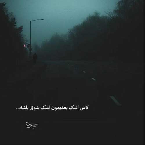 اهنگ زود است نرو بمان همایون شجریان