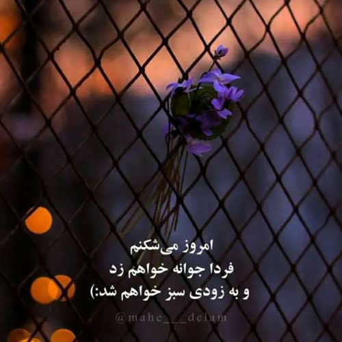 اهنگ شروین حاجی پور نشد بشم اون شازده