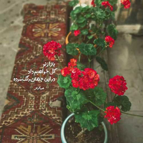 اهنگ اینقده ناز نکن ناز نکن دلبریاشو ناصر پورکرم