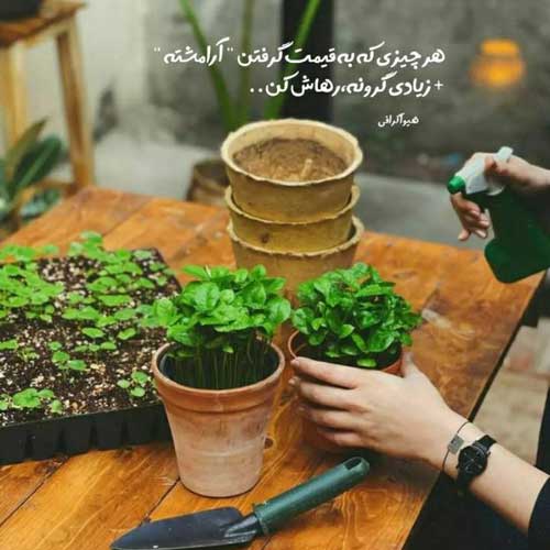 اهنگ ولو ولو