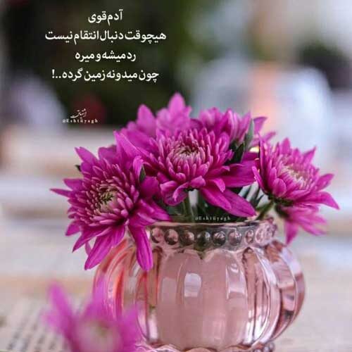 اهنگ پرنده گرشا رضایی