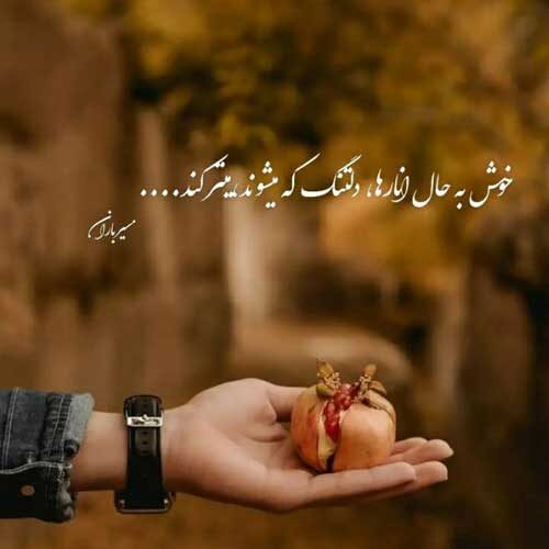 اهنگ مثل سیاوش تنها بگذر از این آتش ها محمد معتمدی