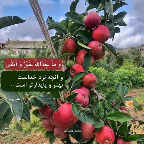 اهنگ بی تو قشنگه شویل بارون فرشید حکمتی