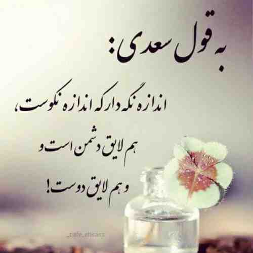بخدا دل بچگی میخواد هیچی نمیخواد