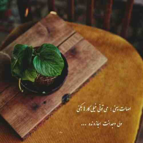 نشد بشیم همیشگی ما