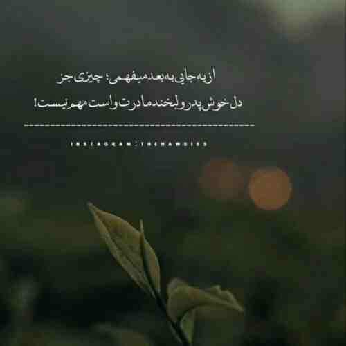 تو نفسی همه کسی حجت اشرف زاده