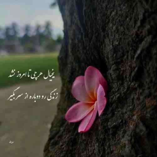 من عاشقشم میدونی خاله