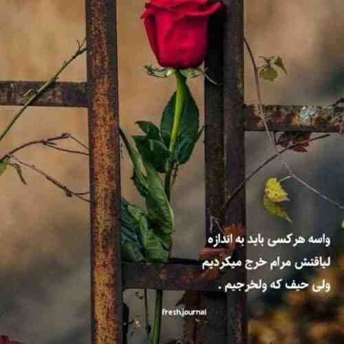 شروین برو که بی حقیقتی