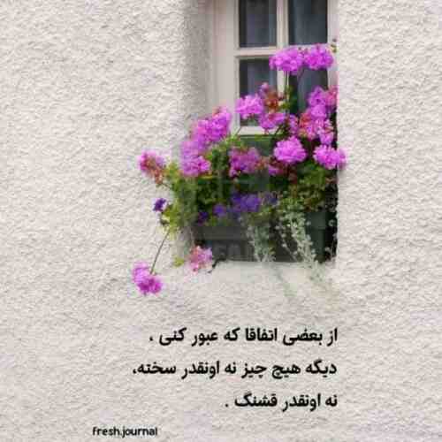 چیکی چیکی باتو
