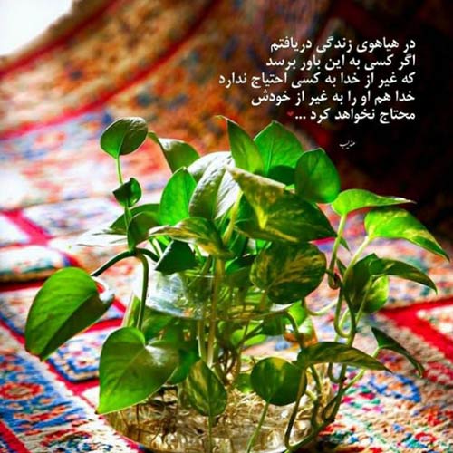 دلتنگ این دلم توی هوای تو حمید سلمانی