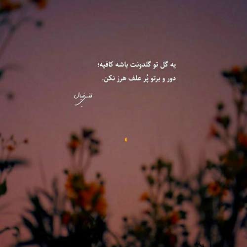 ها دلبر اره ره بو ابی عالی
