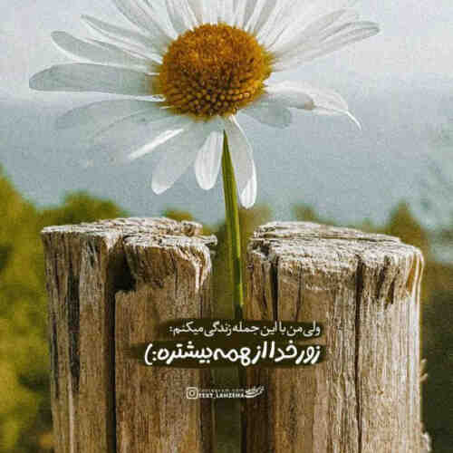 رفیق اگه بد باشن باهات کل شهر