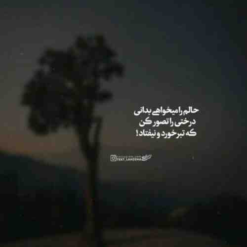 برگشتم دیدم حالت خوبه
