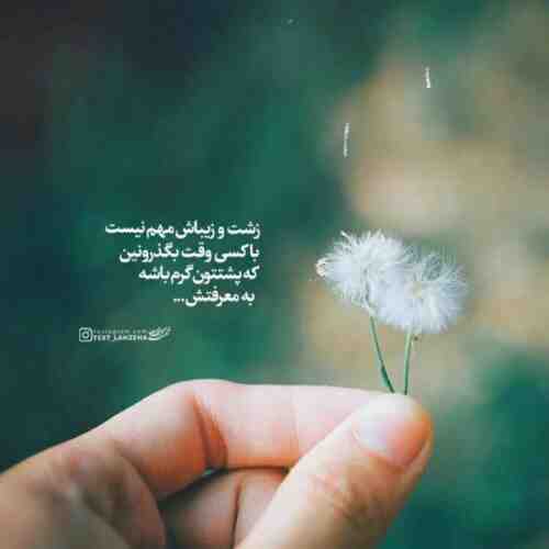در سکوت شب خانه زد فریاد عرفان طهماسبی