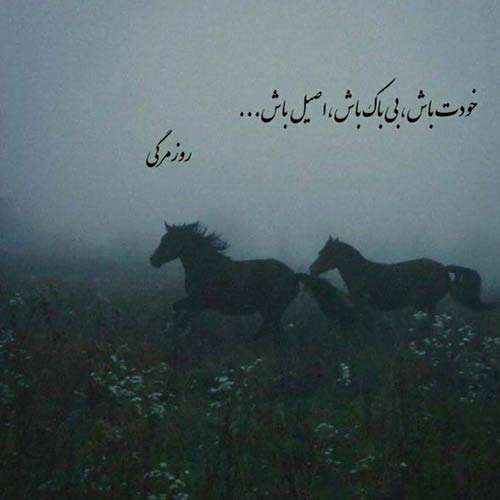 خون چشمات میشه عطر رو تنم