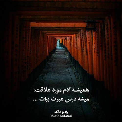 دلگیرم از این هجوم درد
