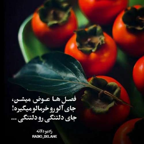 دیدی رفتی تنها شدم