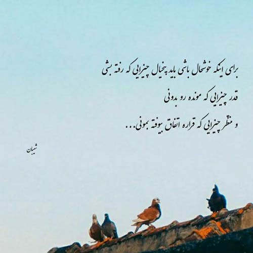 الان کجایی دقیقا آرمین زارعی